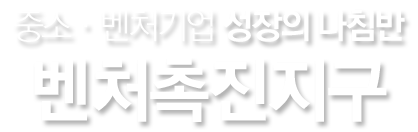 중소·벤처기업 성장의 나침반, 벤처촉진지구